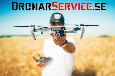 dronarservice bild